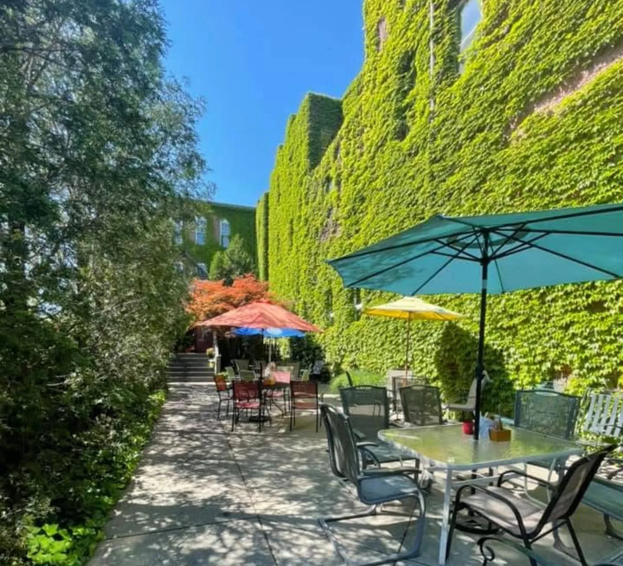 The Rizz's patio with red Japanese maple and a row of colored umbrellas