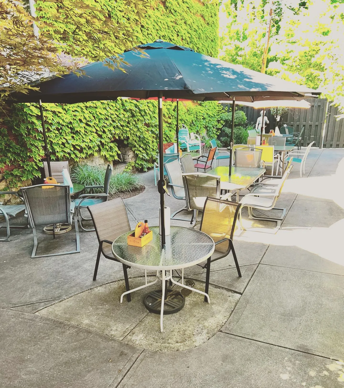 The Rizz's patio — ivy walls, branded umbrella, sun-dappled tables